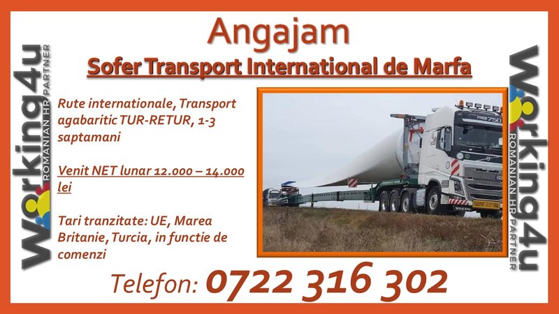 Sofer transport international de marfa