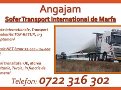 Sofer transport international de marfa
